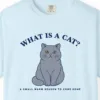 Close-up of the What Is a Cat print on a Chambray Comfort Colors 1717 tee